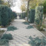 Belediyemiz Kurban Bayramına hazır