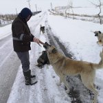 Donmak üzereydiler, şimdi sıcak yuvalarındalar