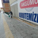 Donmak üzereydiler, şimdi sıcak yuvalarındalar