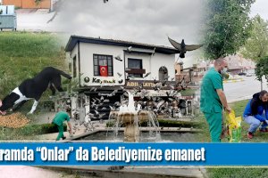 Bayramda “Onlar” da Belediyemize emanet