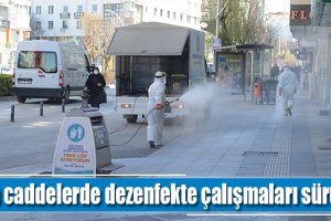 Ana caddelerde dezenfekte çalışmaları sürüyor