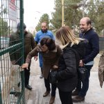 Çorum'u örnek aldılar, Sungurlu'ya kuracaklar