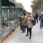 Çorum'u örnek aldılar, Sungurlu'ya kuracaklar