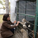 Çorum'u örnek aldılar, Sungurlu'ya kuracaklar