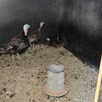 Öğrenciler Hayvan Parkı’nı gezdi