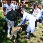Öğrenciler Hayvan Parkı’nı gezdi
