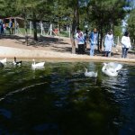 Öğrenciler Hayvan Parkı’nı gezdi