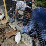 Öğrenciler Hayvan Parkı’nı gezdi