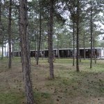 İhbarlara karşı Veteriner İşleri ekipleri 7/24 nöbette