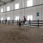 Engellilere atlı rehabilitasyon