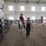 Engellilere atlı rehabilitasyon