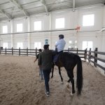 Engellilere atlı rehabilitasyon
