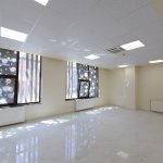 ÇOKİŞ faaliyetlerini Kadeş Barış Meydanı’nda yürütecek