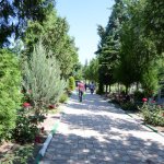 Kabir ziyaretleri nezih ortamda yapılıyor