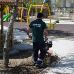 Park ve bahçelerde hummalı çalışma