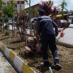 Park ve bahçelerde hummalı çalışma