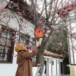 Kadın Kültür Merkezinden duyarlı hareket