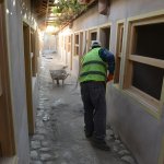 Dikiciler Arastasında taş zemin gün yüzüne çıktı