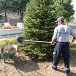 Belediyemiz Şehitlikte çalışmalara hızlı başladı