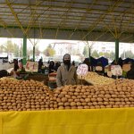 Pazarcı da vatandaş da memnun