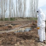 Karasinek ile kaynağında mücadele