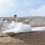 Karasinek ile kaynağında mücadele