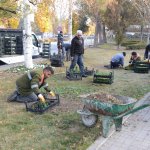 Mevsimlik çiçek dikimi başladı