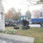 Mevsimlik çiçek dikimi başladı