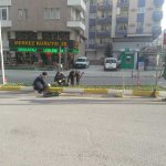 Mevsimlik çiçek dikimi başladı