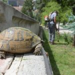 Mezarlıklar, bayram ziyaretine hazır