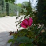 Mezarlıklar, bayram ziyaretine hazır