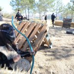 Öğrenciler Çorumlu Obasına bayıldı