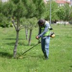 Park ve yeşil alanlar pırıl pırıl