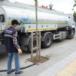 Park ve yeşil alanlar pırıl pırıl