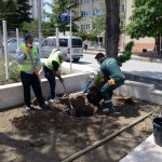 İstiklal Şehitleri Anıtında sona yaklaşıldı
