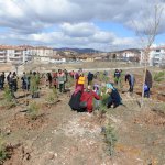 Kadınlar 400 fidanı toprakla buluşturdu