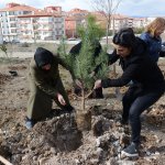 Kadınlar 400 fidanı toprakla buluşturdu