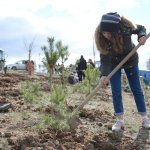 Kadınlar 400 fidanı toprakla buluşturdu