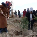 Kadınlar 400 fidanı toprakla buluşturdu