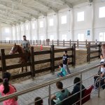 Öğrenciler Binicilik Tesisini gezdi