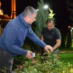 Belediye vektörel mücadeleye devam ediyor