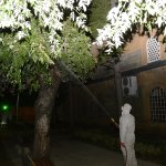 Belediye vektörel mücadeleye devam ediyor