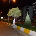 Belediye vektörel mücadeleye devam ediyor