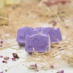 Çorum’da “Leblebili Sabun” üretildi