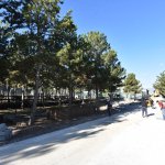 Belediyemiz, geçici hayvan bakımevinin etrafını güzelleştiriyor