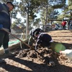 Belediyemiz, geçici hayvan bakımevinin etrafını güzelleştiriyor