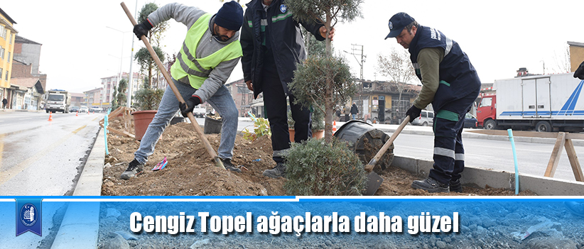 Cengiz Topel ağaçlarla daha güzel