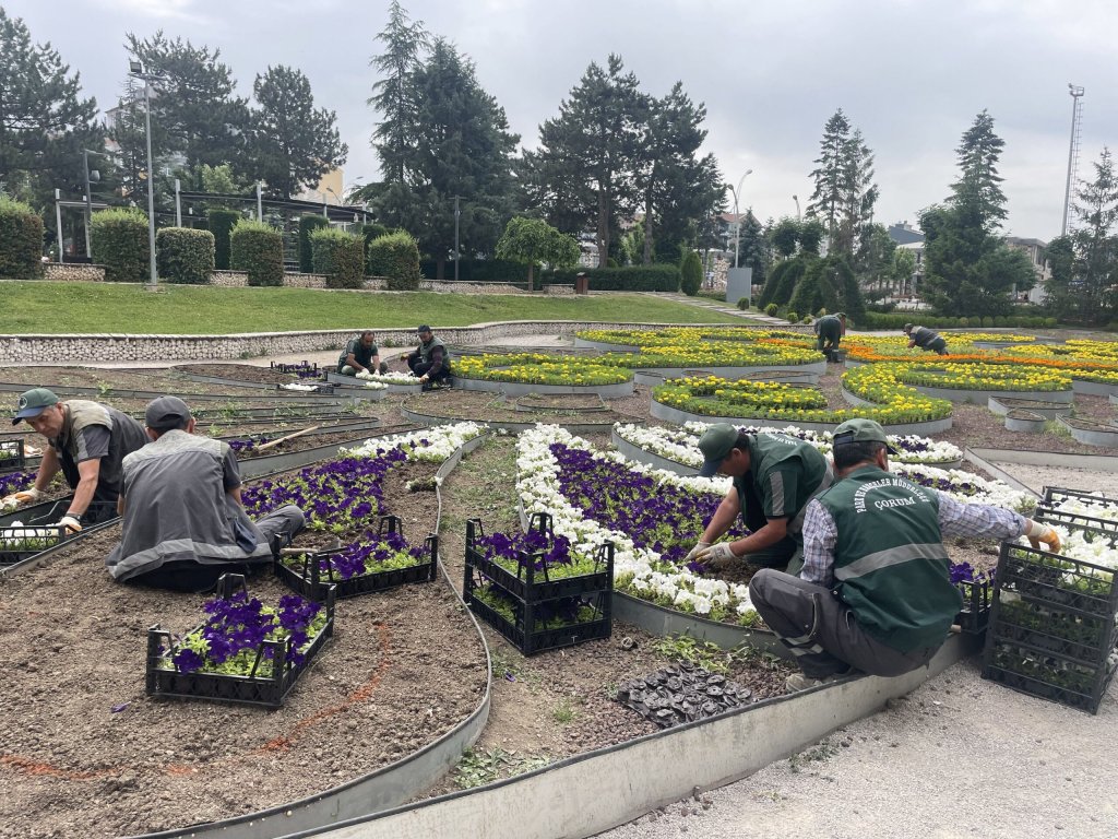Çorum yaza girerken çiçeklerle bezeniyor