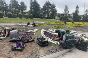 Çorum yaza girerken çiçeklerle bezeniyor