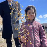 Öğrenciler, çiğdem toplama etkinliğine katıldı